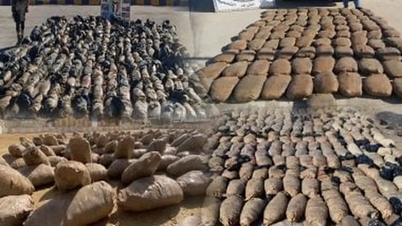 ضبط طن حشيش في الإسكندرية يعكس تصاعد مكافحة تهريب المخدرات في المنطقة